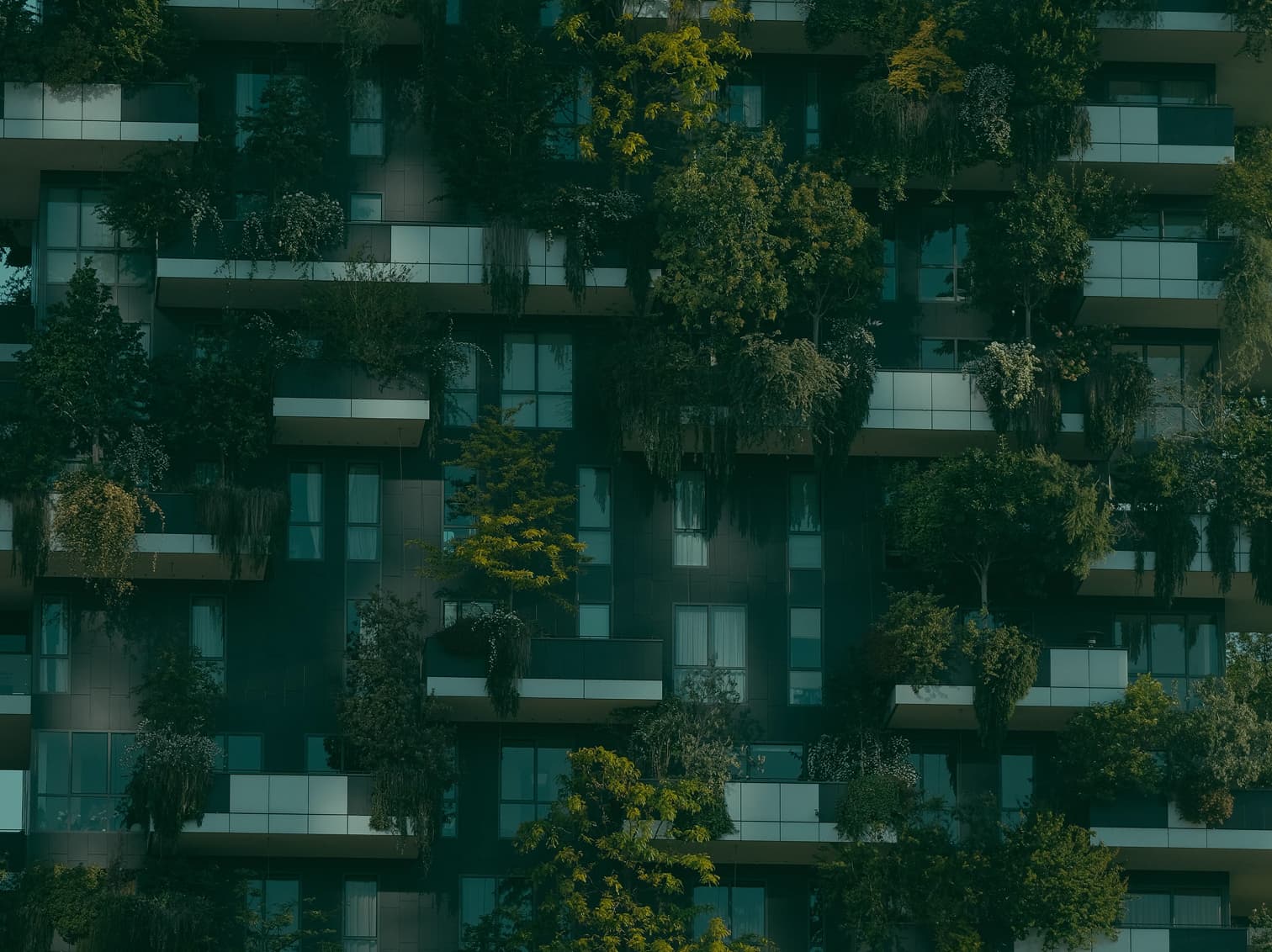 code of conduct banner